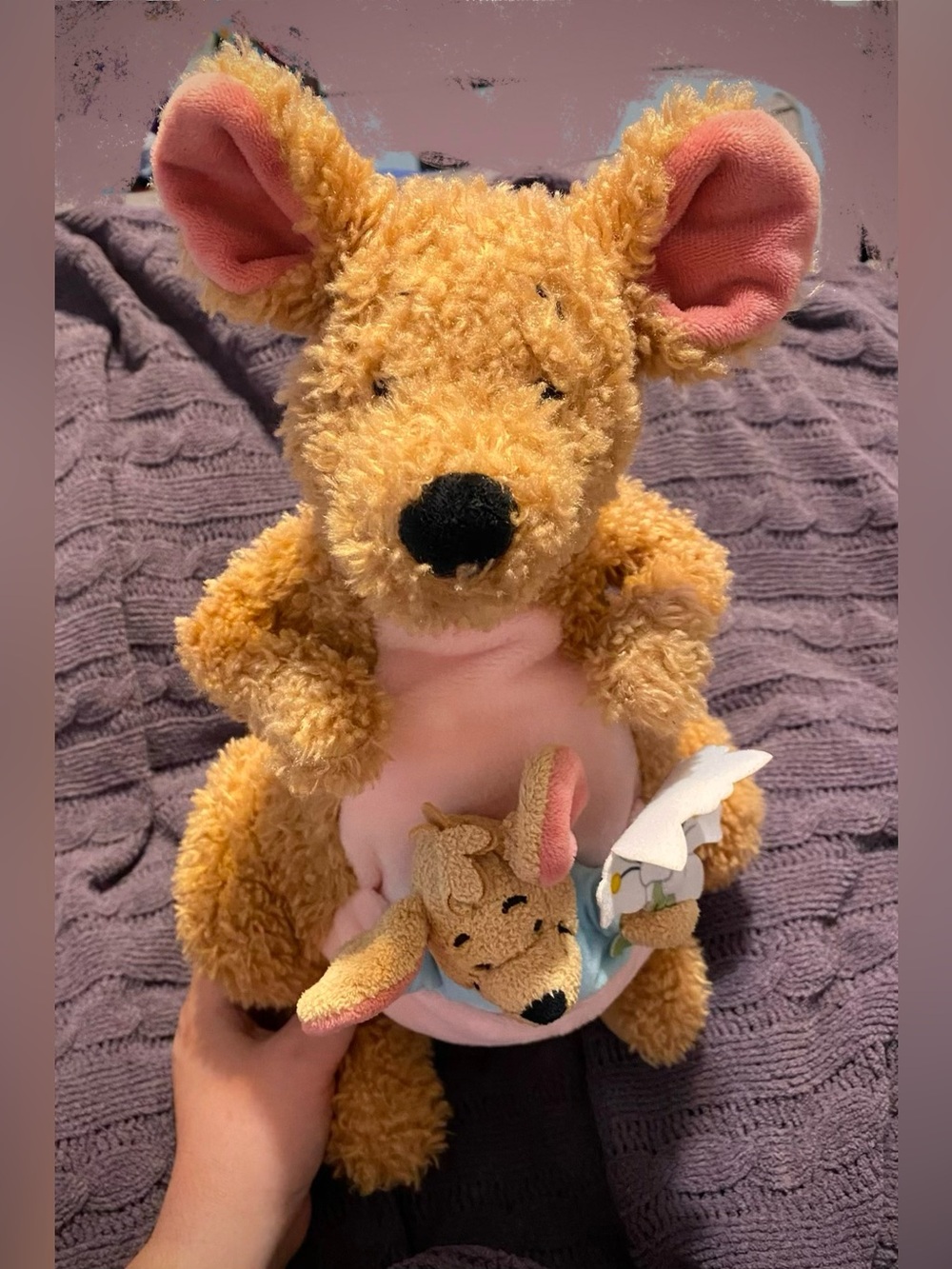Disney Kanga & Roo 55th Winnie The Pooh & The Honey Tree Plush Disney World